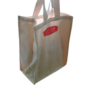 The Large Organic Cotton Canvas Shopping Bag By Green Petal Ventures